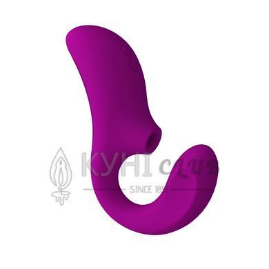 Кліторально-вагінальний звуковий стимулятор LELO Enigma Cruise Deep Rose 106039 фото