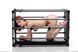 Міцна розбірна клітка для покарань Kennel Adjustable Bondage Cage 102336 фото 3