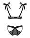 Полупрозрачный эротический комплект Obsessive Obsessivia 2pcs set black L/XL, бюстгальтер и трусики, 105282 фото 6
